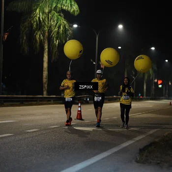 Runner Photo 5908465