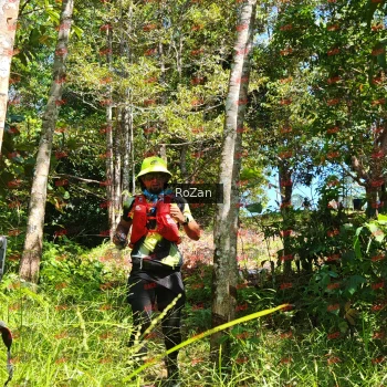 Runner Photo 5910