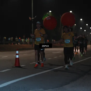 Runner Photo 5912442
