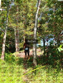 Runner Photo 5919