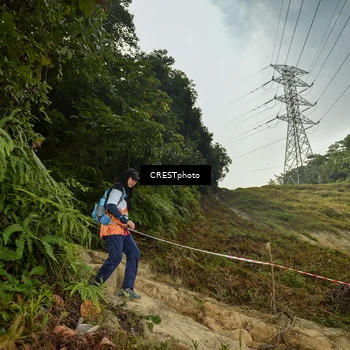 Runner Photo 5920934