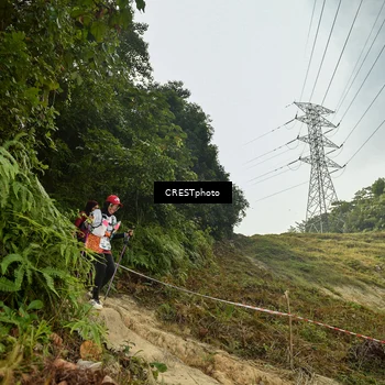 Runner Photo 5921414