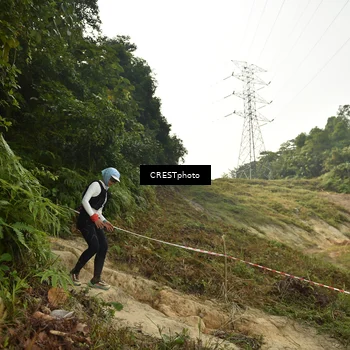 Runner Photo 5922141