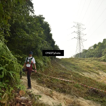 Runner Photo 5922685