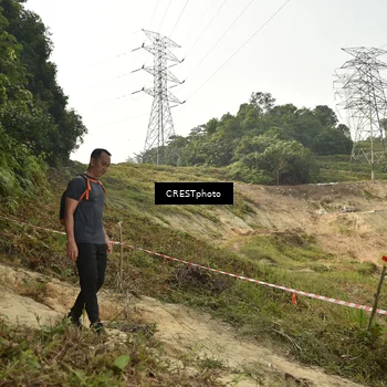 Runner Photo 5922689