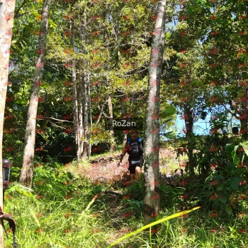 Runner Photo 5924