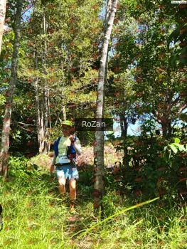 Runner Photo 5928
