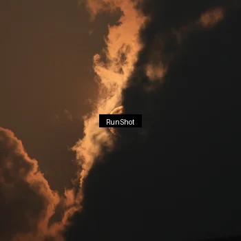 Runner Photo 5930331