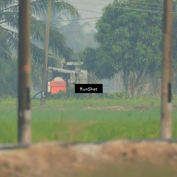 Runner Photo 5931521