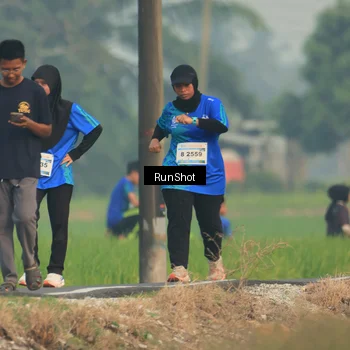 Runner Photo 5935179