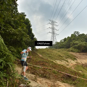 Runner Photo 5940389