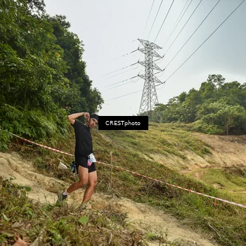 Runner Photo 5940627