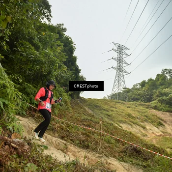 Runner Photo 5940711