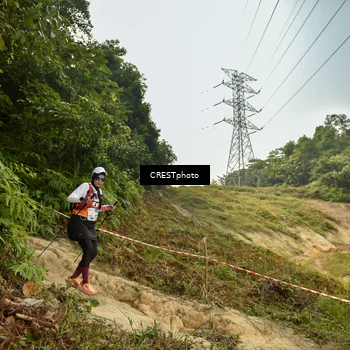 Runner Photo 5940733