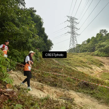 Runner Photo 5940741