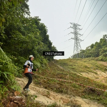Runner Photo 5940762