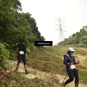 Runner Photo 5940875
