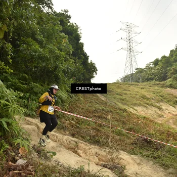 Runner Photo 5940885