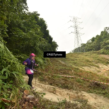 Runner Photo 5940961