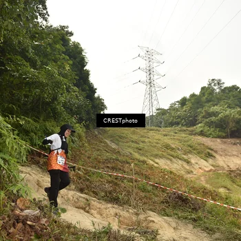 Runner Photo 5940974