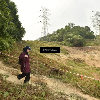 Runner Photo 5941026