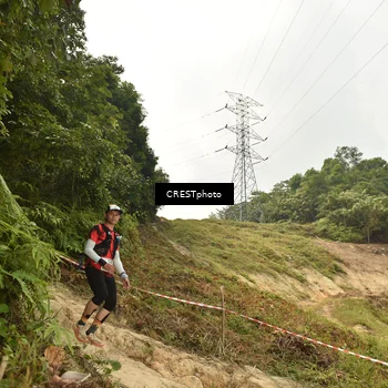 Runner Photo 5941044