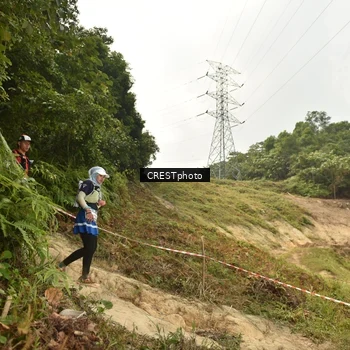 Runner Photo 5941050