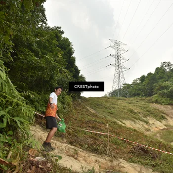 Runner Photo 5941090