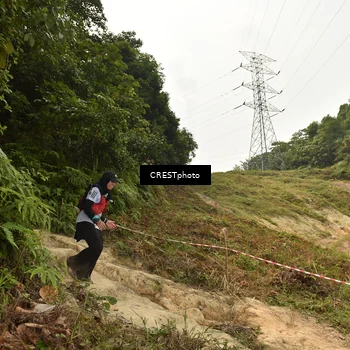 Runner Photo 5941141