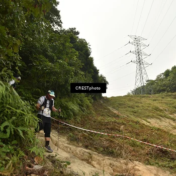 Runner Photo 5941166