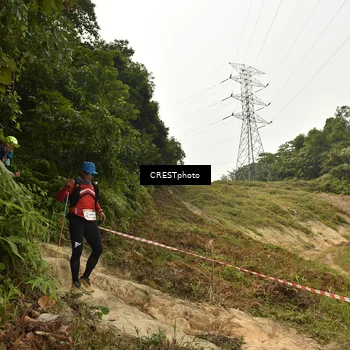 Runner Photo 5941176