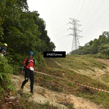 Runner Photo 5941177
