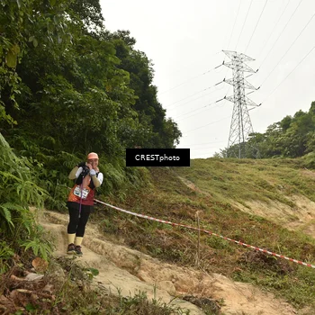 Runner Photo 5941214