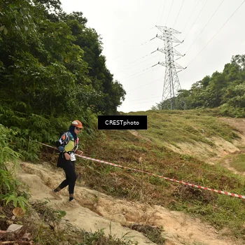 Runner Photo 5941220