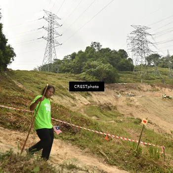 Runner Photo 5941235
