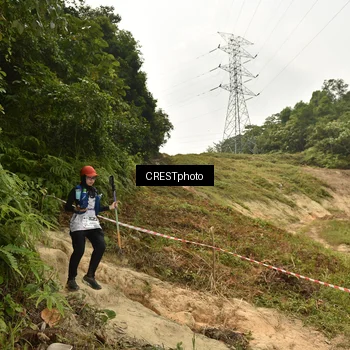Runner Photo 5941246