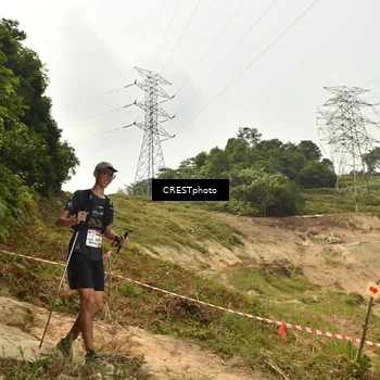 Runner Photo 5941261