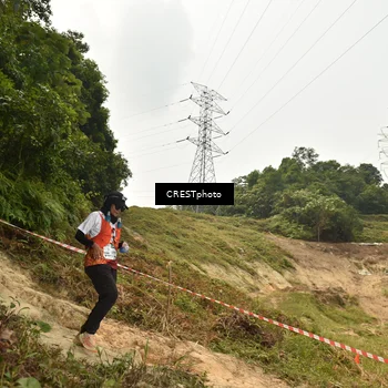 Runner Photo 5941275