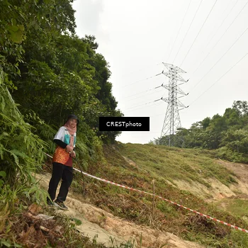 Runner Photo 5941291