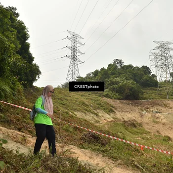 Runner Photo 5941310