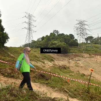 Runner Photo 5941312
