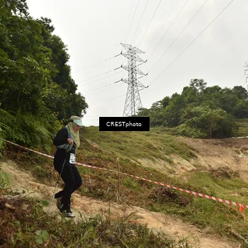 Runner Photo 5941313