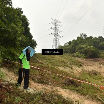 Runner Photo 5941316