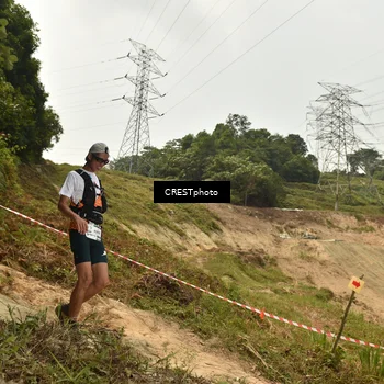 Runner Photo 5941341