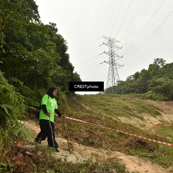 Runner Photo 5941379