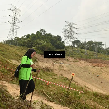 Runner Photo 5941382