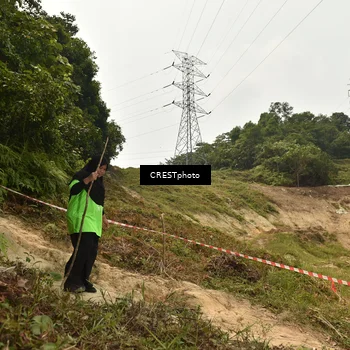 Runner Photo 5941384