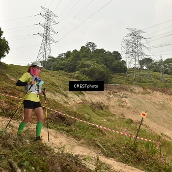 Runner Photo 5941388
