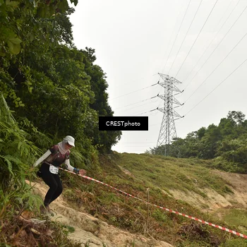 Runner Photo 5941397