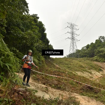 Runner Photo 5941404